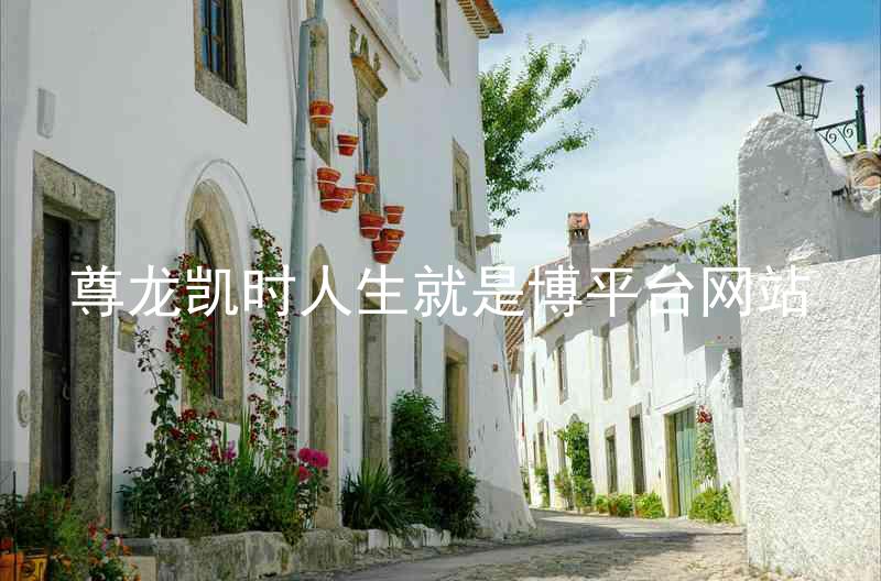 尊龙凯时人生就是博平台网站